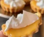 Daisy Lemon Meringue Pies: An Amazing Ultimate Recipe for 10